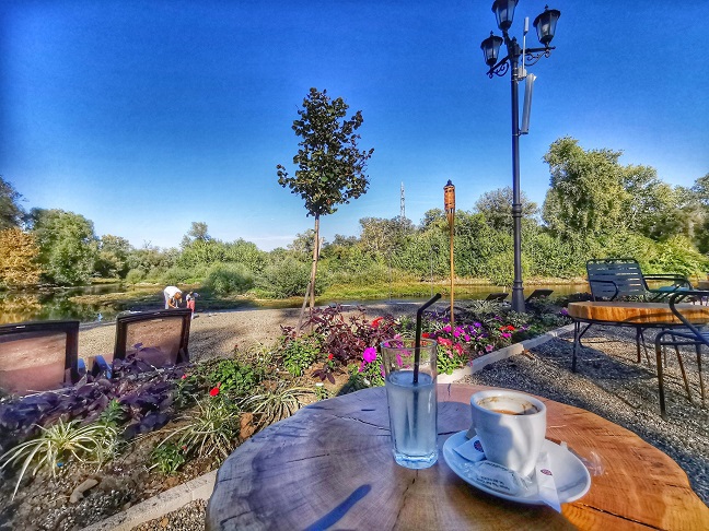 цветњак, септембар Фото: Вероника Вукићевић