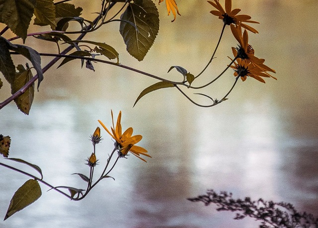 ЈЕСЕН, Фото: Јелена Миладиновић