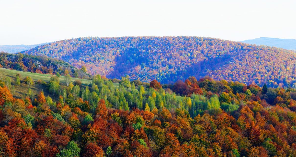 ЈЕСЕН Фото: Слободан Симеуновић