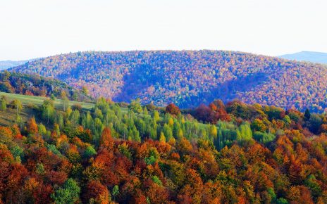 ЈЕСЕН Фото: Слободан Симеуновић