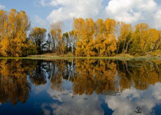 јесен Фото: Слађана Белић