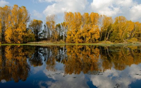 јесен Фото: Слађана Белић