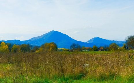 ЈЕСЕН Фото: Слободан Симеуновић