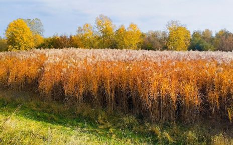 јесен, Фото: Слободан Симеуновић