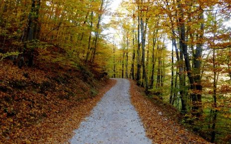 новембар Фото: Стефан Лукић