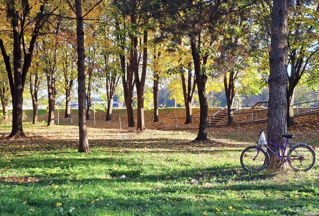 јесен Фото: Дарка Симеуновић