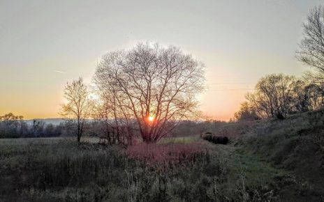 Фото: Зоран Зиндовић