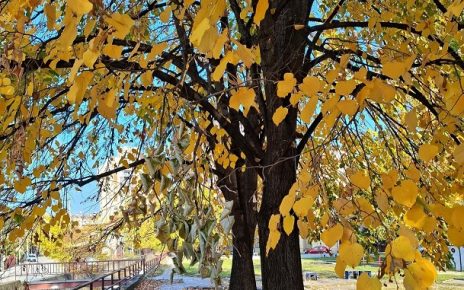 јесен Фото: Дарка Симеуновић