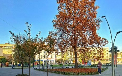 јесен Фото: Дарка Симеуновић