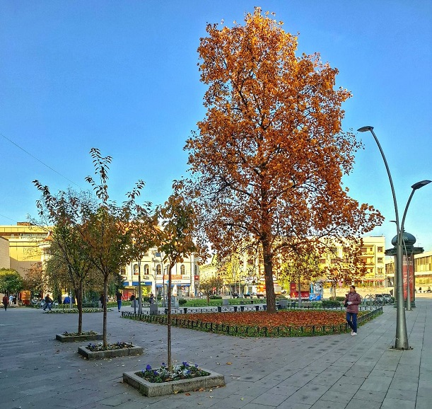 јесен Фото: Дарка Симеуновић