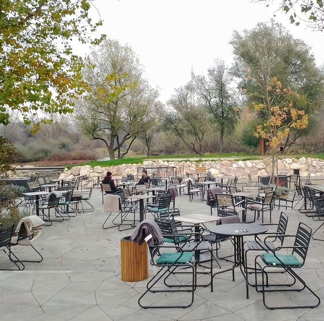 новембар цветњак Фото: Зоран Зиндовић