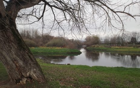 новембар Фото: Зоран Зиндовић