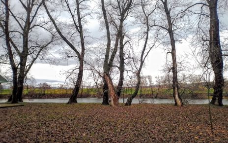 ДЕЦЕМБАР, ФОТО: ЗОРАН ЗИНДОВИЋ