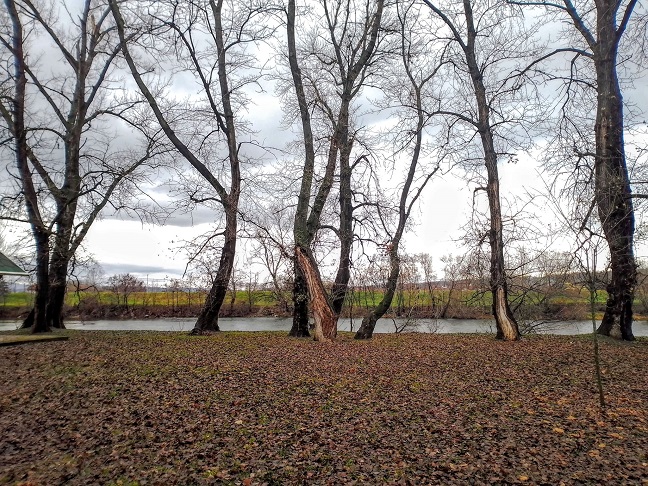 ДЕЦЕМБАР, ФОТО: ЗОРАН ЗИНДОВИЋ