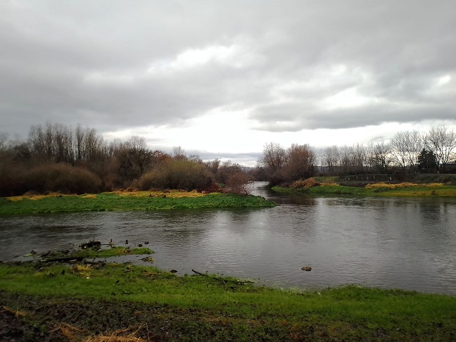 јесен облачно Фото: Зоран Зиндовић