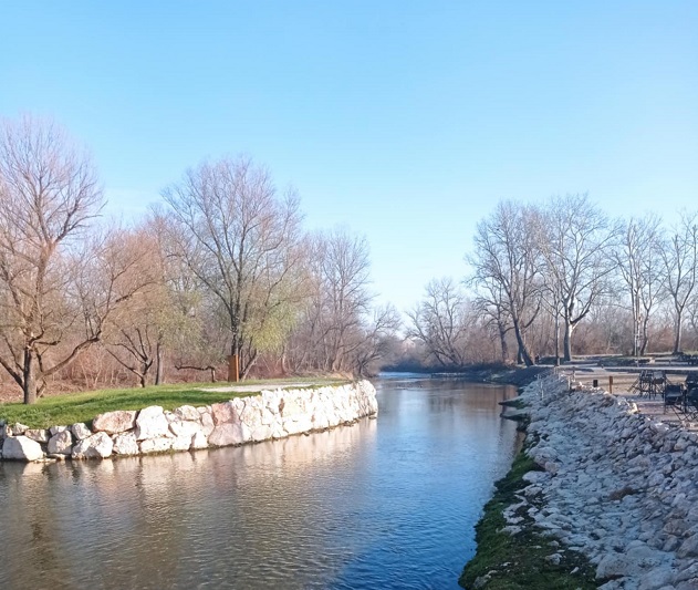 децембар, цветњак Фото: Мима Зиндовић