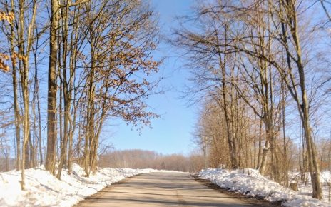 ЗИМА, Фото: Драган Ђоловић