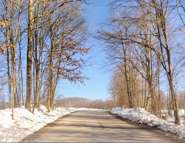 ЗИМА, Фото: Драган Ђоловић