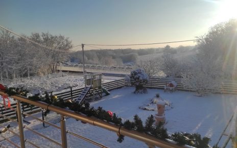 зима снег Фото: Бранка Маџаревић