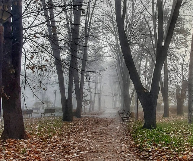 зима Фото: Дарка Симеуновић