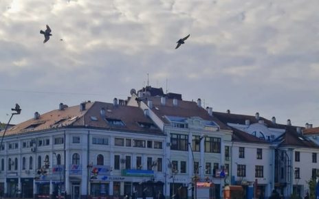 зима Фото: Зорица Драгићевић Милошевић