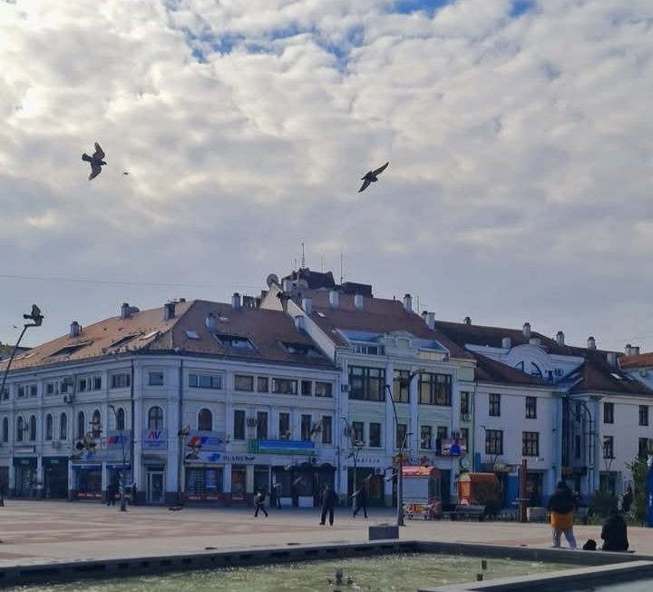 зима Фото: Зорица Драгићевић Милошевић