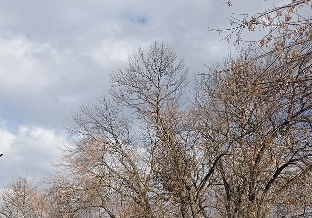 зима Фото: Мима Зиндовић