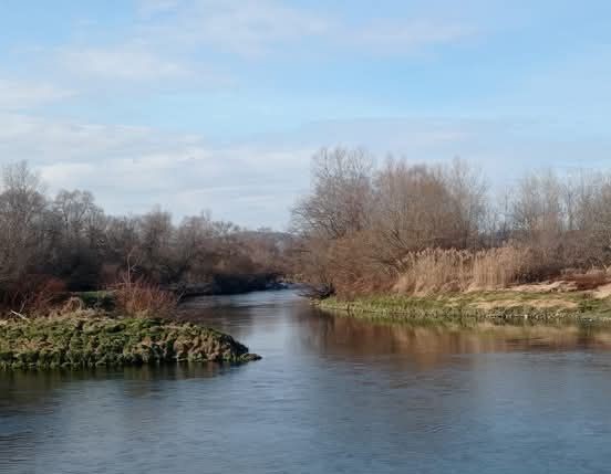 зима Фото: Мима Зиндовић