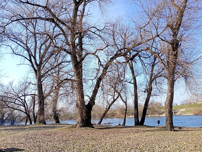 ЗИМА Фото: Душан Ћирјсковић