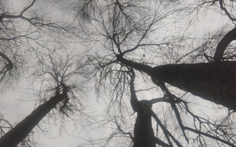 зима Фото: Мима Зиндовић