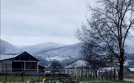 зима Фото: Дарка Симеуновић