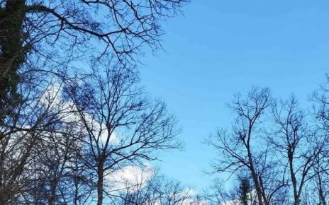 ЗИМА, Фото: Мима Зиндовић