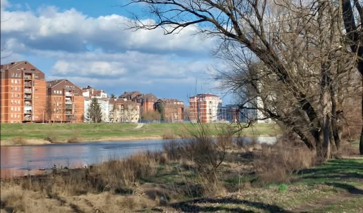 зима Фото: Дарка Симеуновић