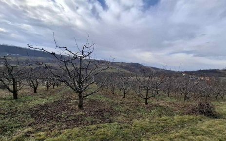 ЗИМА Фото: М. Матовић