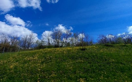 април Фото: Оливера Шкољевић