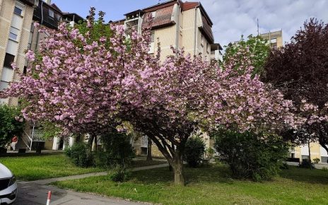 Фото: М. Руменић