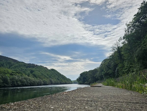 мај Фото: М. М.