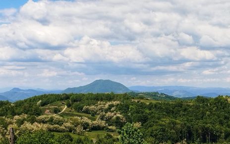 мај Фото: Јелена Булатовић