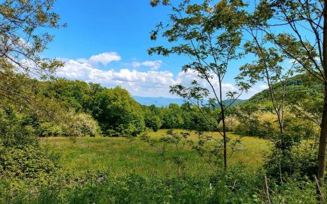 мај Фото: Јелена Булатовић