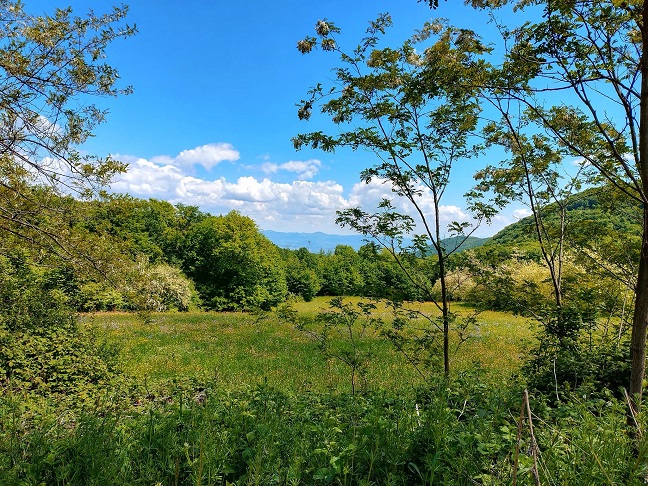 мај Фото: Јелена Булатовић