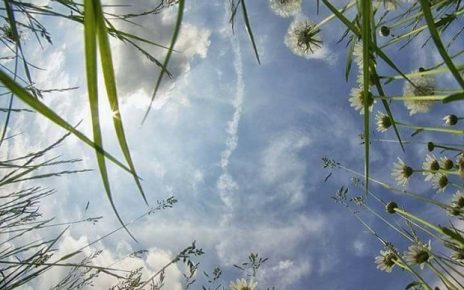 мај Фото: Јелена Булатовић