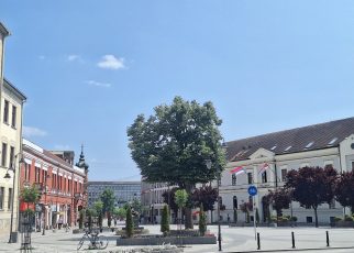 град лето Фото: В. Ј.