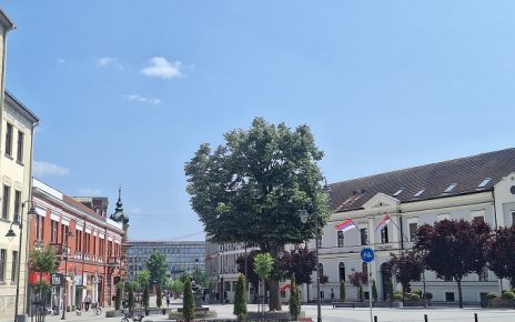 град лето Фото: В. Ј.