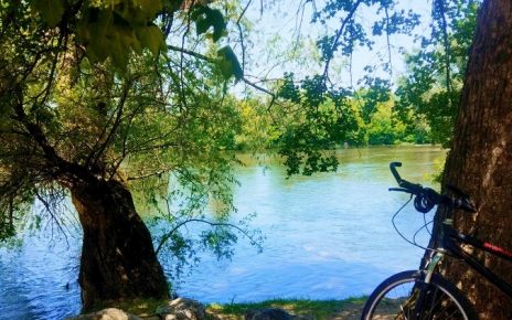 лето Фото: Мима Зиндовић