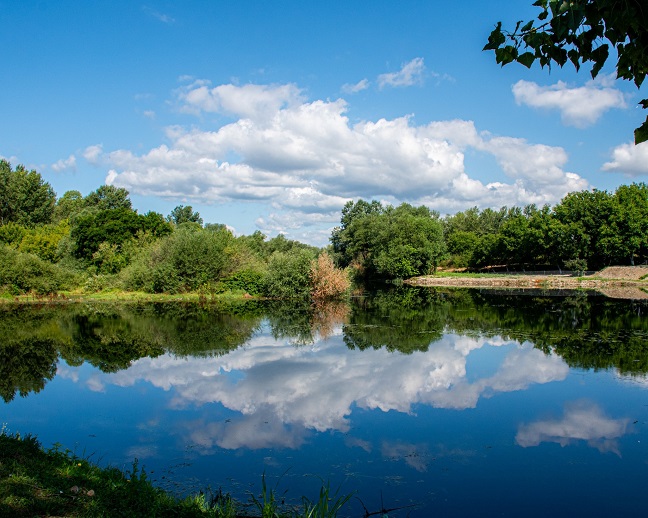 лето Фото: Јелена Миладиновић