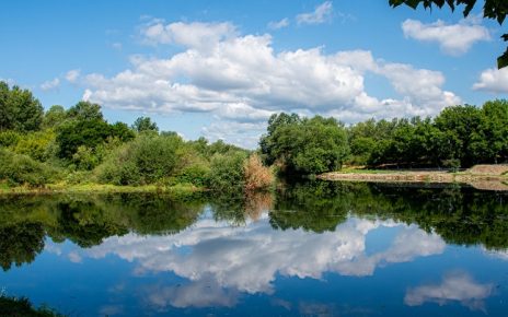 лето Фото: Јелена Миладиновић