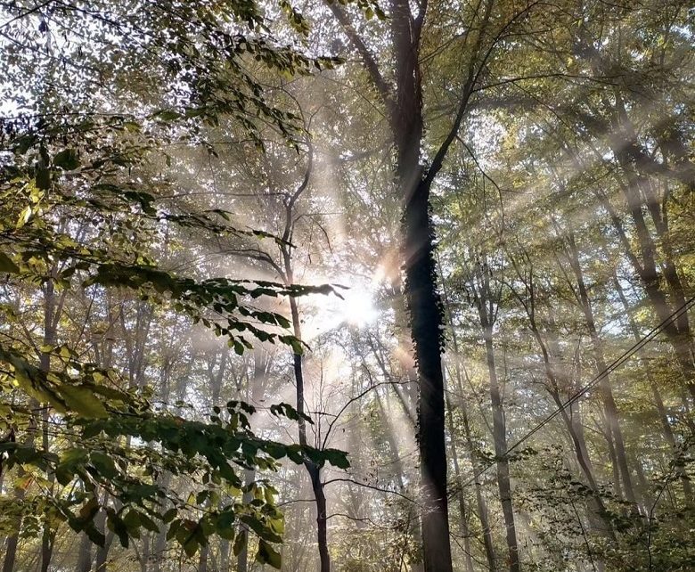 лето Фото: Јелена Булатовић