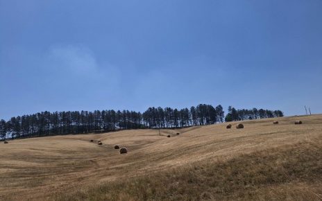 ЛЕТО, Фото: М. М.