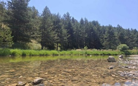 лето Фото: М. М.