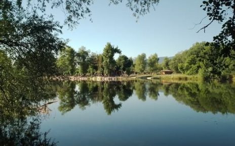 лето Фото: Зоран Зиндовић